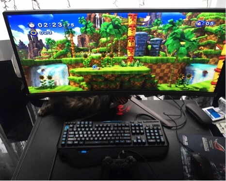 ASUS PG348Q Monitor Color Example